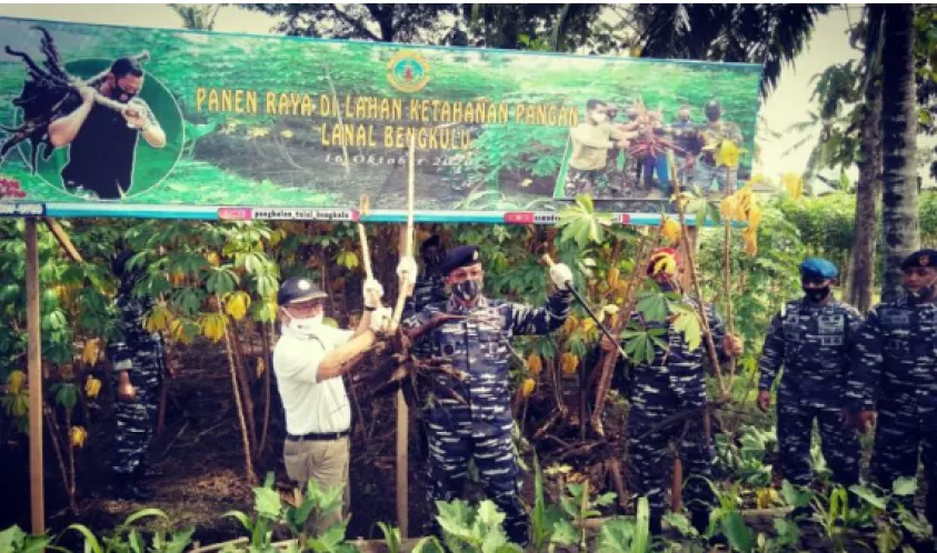Lanal dan Pemkot Panen Raya Ubi Kayu Guna Atasi Ketahanan Pangan Di Tengah Pandemi Covid-19