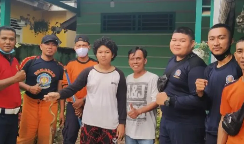 Damkar Evakuasi Ular Cobra dari Rumah Warga