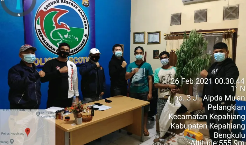 Tanam Ganja Disela Kebun, Petani Kopi Ditangkap Polisi