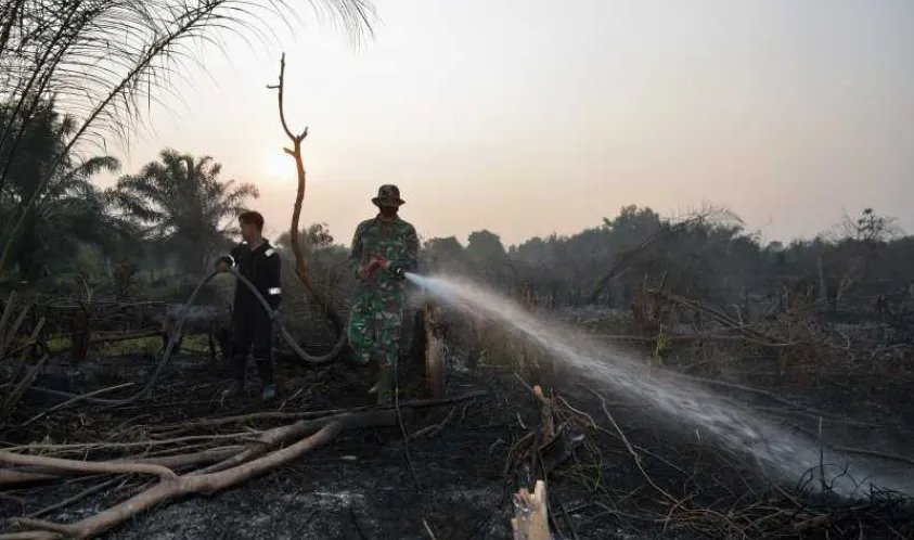 Gubernur Provinsi Riau Minta Lokasi Karhutla Dipasang Garis Polisi