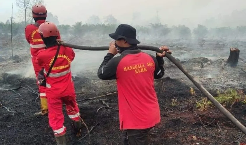 Pemerintah Provinsi Riau Minta Perusahaan Perkebunan Lakukan Tindakan Preventif Atasi Kebakaran Lahan